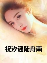祝汐谣陆舟南小说试读_宋柠陆云霆小说全文章节列表