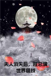 夫人消失后，程总满世界疯找小说小说试读_宋柠陆云霆小说全文章节列表
