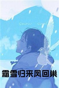 霜雪归来凤回巢全文小说试读_宋柠陆云霆小说全文章节列表