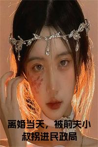 离婚当天，被前夫小叔拐进民政局全文小说试读_宋柠陆云霆小说全文章节列表