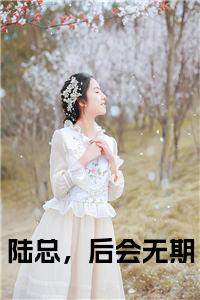 陆总，后会无期免费小说试读_宋柠陆云霆小说全文章节列表
