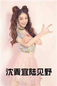 沈青宜陆见野小说试读_宋柠陆云霆小说全文章节列表