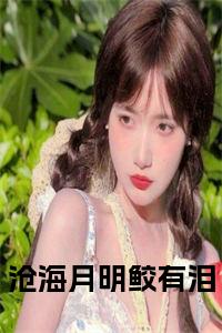 沧海月明鲛有泪小说试读_宋柠陆云霆小说全文章节列表