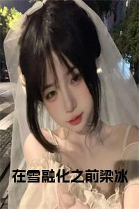 在雪融化之前梁冰全文全文免费试读