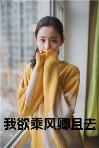 我欲乘风卿且去小说小说试读_宋柠陆云霆小说全文章节列表