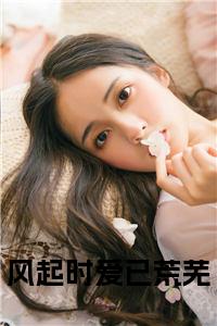 风起时爱已荒芜小说名小说试读_宋柠陆云霆小说全文章节列表