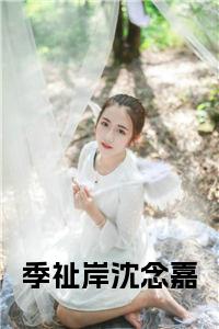 季祉岸沈念嘉小说试读_宋柠陆云霆小说全文章节列表