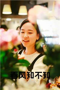 春风知不知大结局+番外小说试读_宋柠陆云霆小说全文章节列表