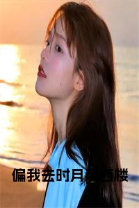偏我去时月满西楼免费小说试读_宋柠陆云霆小说全文章节列表