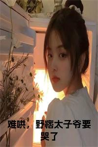 难哄，野痞太子爷要哭了免费阅读小说试读_宋柠陆云霆小说全文章节列表