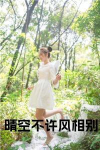 晴空不许风相别全文小说试读_宋柠陆云霆小说全文章节列表