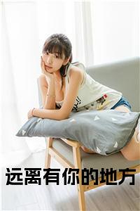 远离有你的地方：结局+番外（贺昱琛颜以安）全本完整+后续+结局在线阅读