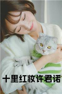 十里红妆许君诺正版无弹窗小说试读_宋柠陆云霆小说全文章节列表