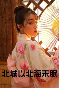 北城以北海未眠全文阅读小说试读_宋柠陆云霆小说全文章节列表