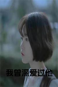 我曾深爱过他小说免费小说试读_宋柠陆云霆小说全文章节列表