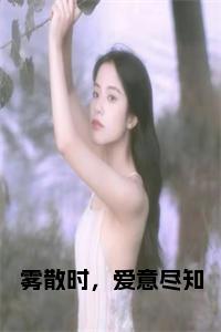 雾散时，爱意尽知免费小说试读_宋柠陆云霆小说全文章节列表