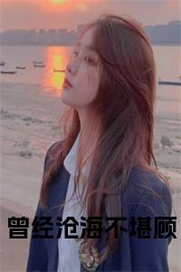 曾经沧海不堪顾小说试读_宋柠陆云霆小说全文章节列表