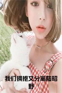 我们拥抱又分离陆昭野大结局+番外小说试读_宋柠陆云霆小说全文章节列表
