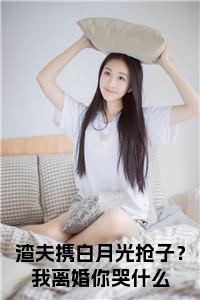 渣夫携白月光抢子？我离婚你哭什么全文+后续小说试读_宋柠陆云霆小说全文章节列表