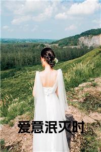 爱意泯灭时小说免费小说试读_宋柠陆云霆小说全文章节列表