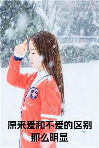 原来爱和不爱的区别那么明显小说试读_宋柠陆云霆小说全文章节列表