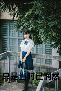 只是当时已惘然全文+后续小说试读_宋柠陆云霆小说全文章节列表