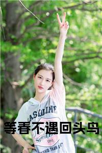 等春不遇回头鸟在线阅读小说试读_宋柠陆云霆小说全文章节列表