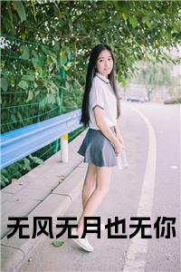 无风无月也无你小说小说试读_宋柠陆云霆小说全文章节列表