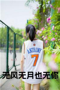 无风无月也无你小说名字小说试读_宋柠陆云霆小说全文章节列表