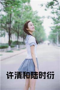 许清和陆时衍免费阅读小说试读_宋柠陆云霆小说全文章节列表