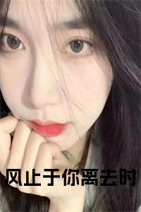 风止于你离去时正版小说试读_宋柠陆云霆小说全文章节列表