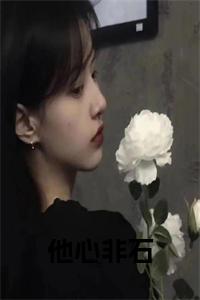 他心非石全文阅读小说试读_宋柠陆云霆小说全文章节列表