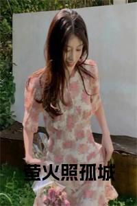 萤火照孤城全文小说试读_宋柠陆云霆小说全文章节列表