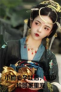 小甜心孕吐后，夜少捡回家里宠小说名小说试读_宋柠陆云霆小说全文章节列表