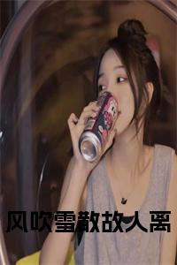 风吹雪散故人离全文免费小说试读_宋柠陆云霆小说全文章节列表