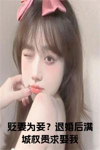 贬妻为妾？退婚后满城权贵求娶我小说试读_宋柠陆云霆小说全文章节列表