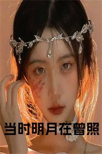 当时明月在曾照全文下载小说试读_宋柠陆云霆小说全文章节列表