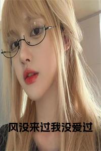 风没来过我没爱过小说在线小说试读_宋柠陆云霆小说全文章节列表