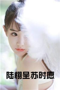 陆栩呈苏时愿全文小说试读_宋柠陆云霆小说全文章节列表