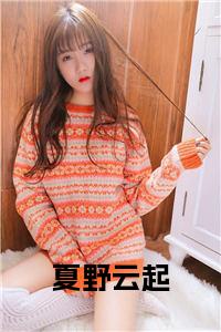 夏野云起全文阅读小说试读_宋柠陆云霆小说全文章节列表