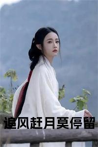 追风赶月莫停留小说阅读小说试读_宋柠陆云霆小说全文章节列表