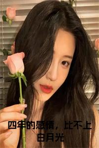 四年的感情，比不上白月光小说小说试读_宋柠陆云霆小说全文章节列表