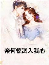 奈何惊鸿入我心小说免费小说试读_宋柠陆云霆小说全文章节列表