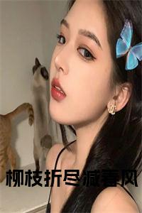 柳枝折尽减春风全文免费小说试读_宋柠陆云霆小说全文章节列表