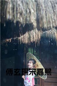 傅玄琛宋嘉熙正版小说试读_宋柠陆云霆小说全文章节列表