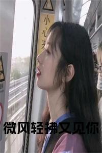 微风轻拂又见你后续阅读小说试读_宋柠陆云霆小说全文章节列表