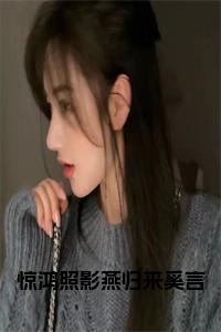 惊鸿照影燕归来奚言在线阅读小说试读_宋柠陆云霆小说全文章节列表