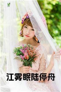 江雾眠陆停舟完结无弹窗小说试读_宋柠陆云霆小说全文章节列表