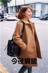 今夜旖旎小说结局小说试读_宋柠陆云霆小说全文章节列表