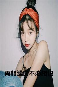 再相逢时不必相识后续结局小说试读_宋柠陆云霆小说全文章节列表